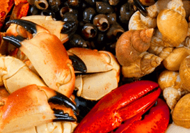 frutos do mar para aumentar a potência em homens